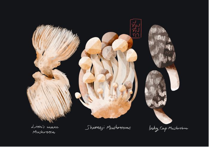 Lion's mane, shimeji, inky cap