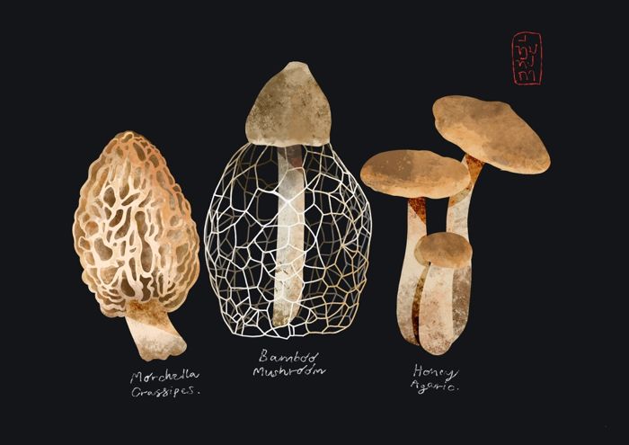 Mushrooms