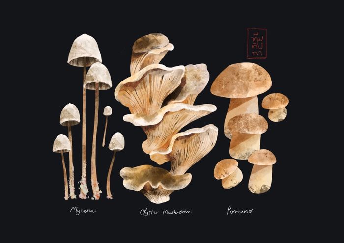 Mushrooms